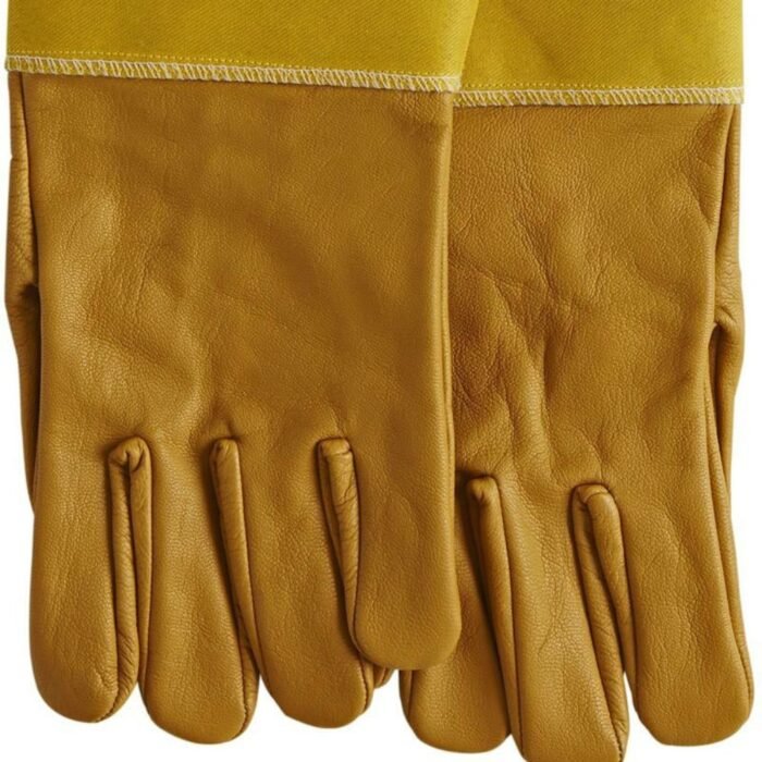 Leather Gloves