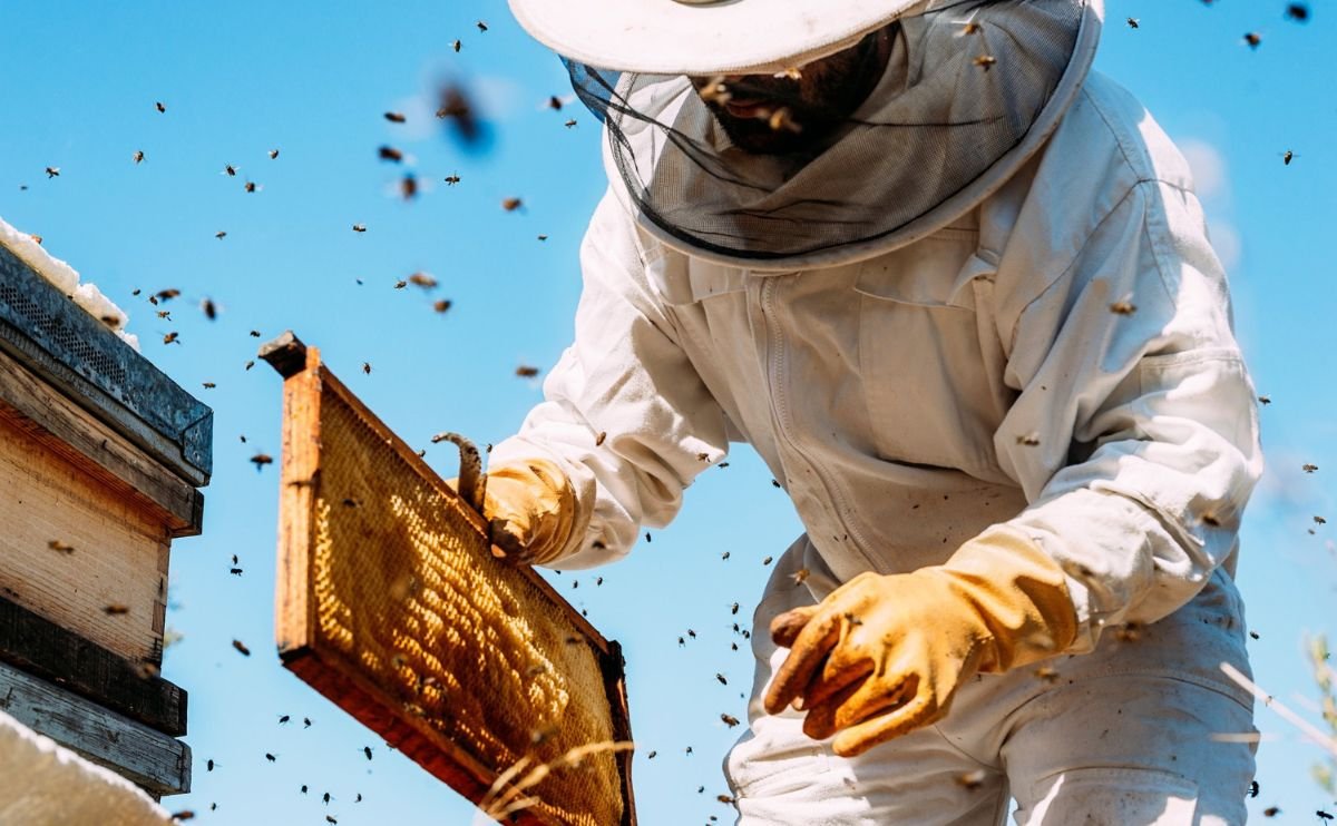 First Beekeeping Suit