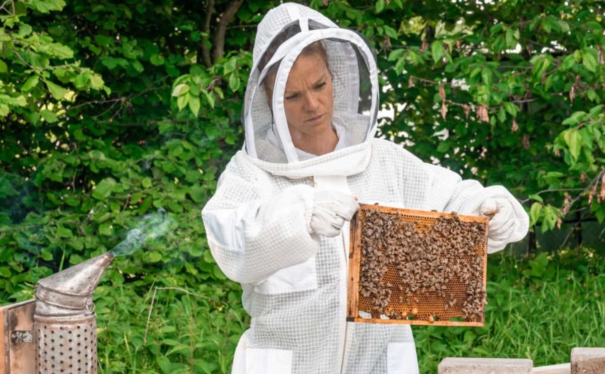 Guide To Beekeeping Suit