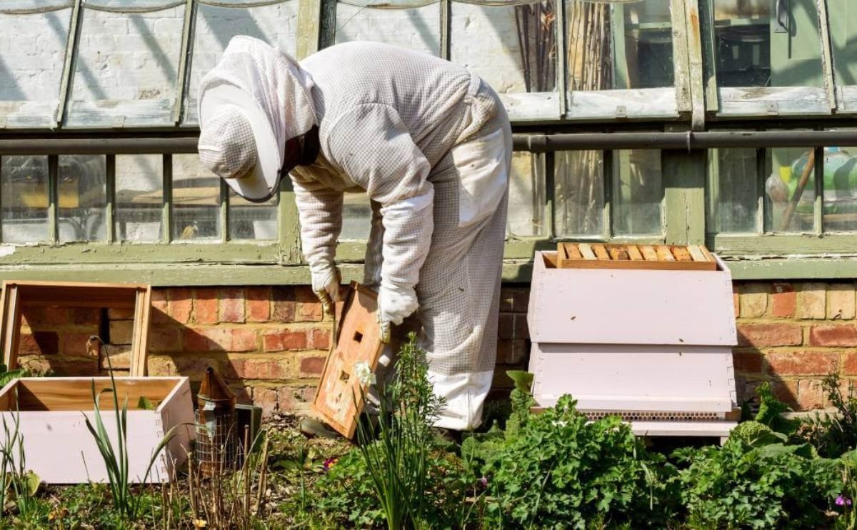 Ventilated Beekeeping Suit