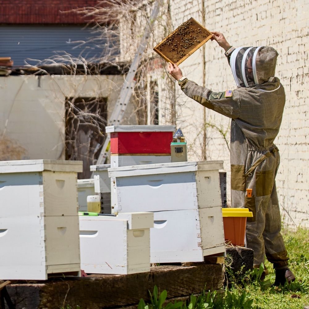 Green Ventilated Beekeeping Full Suit Green Ventilated Beekeeping Full Suit