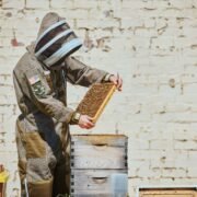 Green Ventilated Beekeeping Full Suit