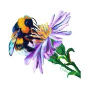 Bumble Bee And Flower T-Shirt